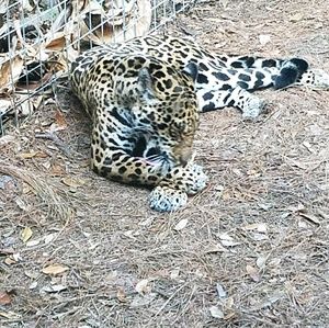 Meet your Posher, Marcia